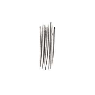 퍼펙틀리 디파인드 롱웨어 브라우 펜슬